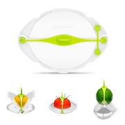Protector de alimentos Savel Verde Dreamfarm