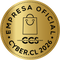 cyber