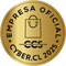 cyber